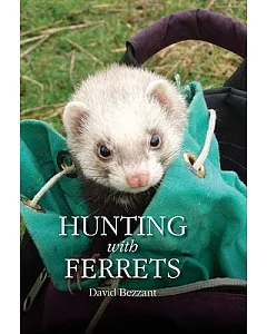 Hunting With Ferrets