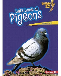 Let’s Look at Pigeons