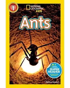 Ants