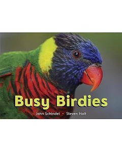 Busy Birdies