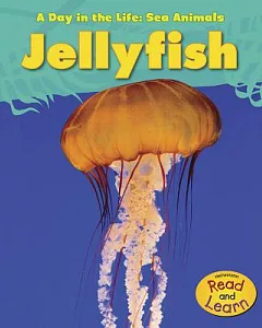 Jellyfish