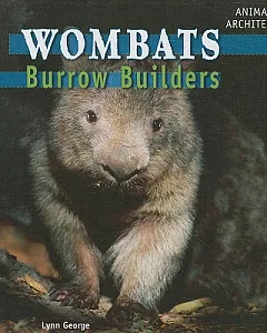 Wombats: Burrow Builders