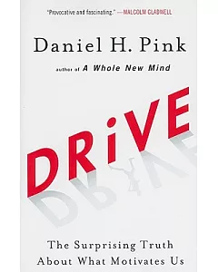 Drive: The Surprising Truth About What Motivates Us