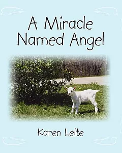 A Miracle Named Angel