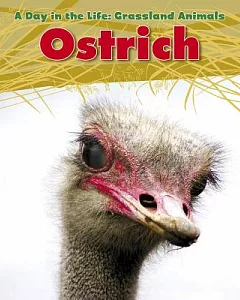 Ostrich