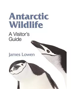 Antarctic Wildlife: A Visitor’s Guide