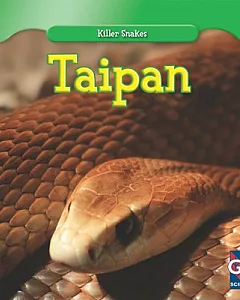 Taipan