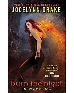 Burn the Night: The Final Dark Days Novel