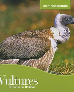 Vultures