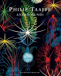 Philip taaffe: Anima Mundi