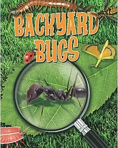 Backyard Bugs