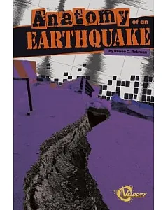 Anatomy of an Earthquake