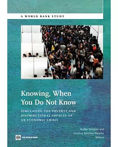 Knowing, When You Do Not Know: Simulating the Poverty and Distributional Impacts of an Economic Crisis