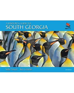 A Visitor’s Guide to South Georgia