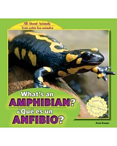 What’s an Amphibian? / Que Es Un Anfibio?