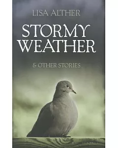 Stormy Weather & Other Stories