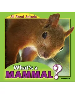 What’s a Mammal?