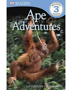 Ape Adventures