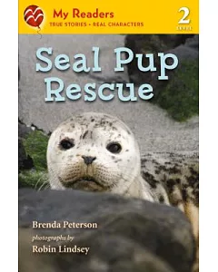 Seal Pup Rescue