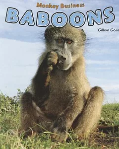 Baboons