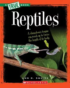 Reptiles