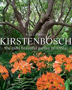 Kirstenbosch: The Most Beautiful Garden in Africa