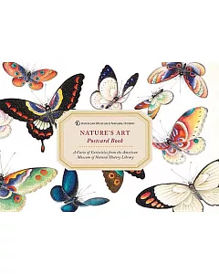 Amnh Nature’s Art Postcard Book