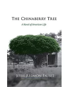 The Chinaberry Tree: A Novel of American Life