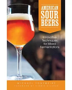 American Sour Beers: Innovative Techniques for Mixed Fermentations