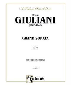 Grand Sonata for Violin and Guitar, Op. 25