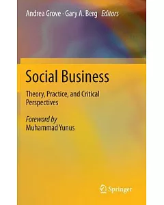 Social Business: Theory, Practice, and Critical Perspectives