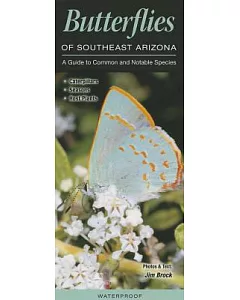 Butterflies of Southeast Arizona: A Guide to Common and Notable Species