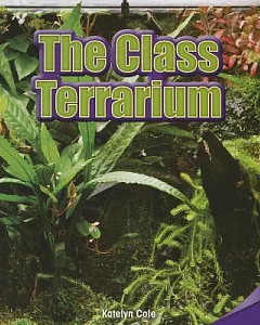 The Class Terrarium