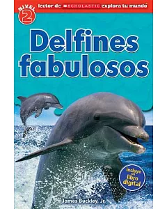 Delfines fabulosos / Dolphin Dive