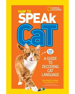 How to Speak Cat: A Guide to Decoding Cat Language