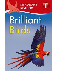 Brilliant Birds