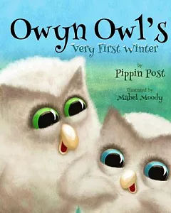 Owyn Owl’s: Very First Winter
