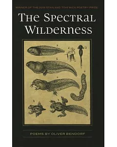 The Spectral Wilderness