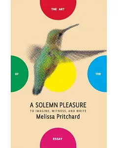 A Solemn Pleasure: To Imagine, Witness, and Write