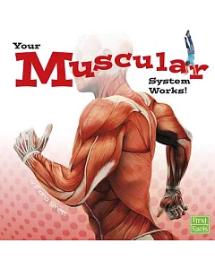 Your Muscular System Works!