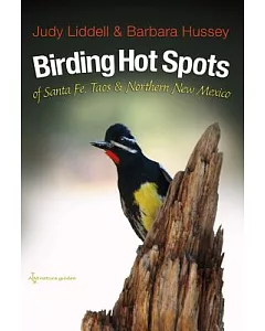 Birding Hot Spots of Santa Fe, Taos, and Northern New Mexico