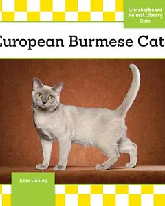 European Burmese Cats