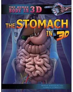 The Stomach in 3D