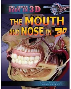 The Mouth and Nose in 3D