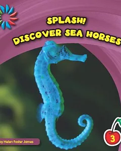 Discover Sea Horses