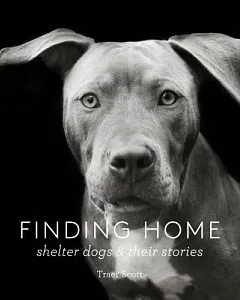 Finding Home: Shelter Dogs & Their Stories