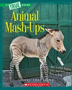 Animal Mash-Ups