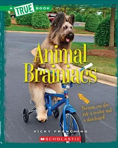 Animal Brainiacs