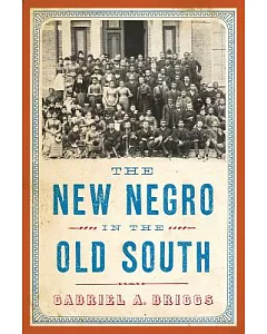 The New Negro in the Old South