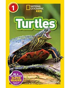 Turtles